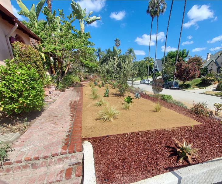 landscape maintenance