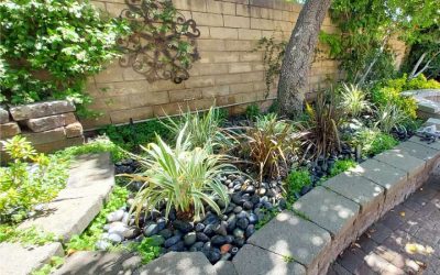 Commercial Lawn Care vs. Landscaping Maintenance