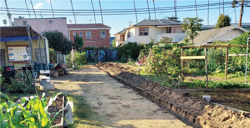 Wide view of a backyard landscape under development featuring a long freshly dug trench for the installation of an automated sprinkler system.