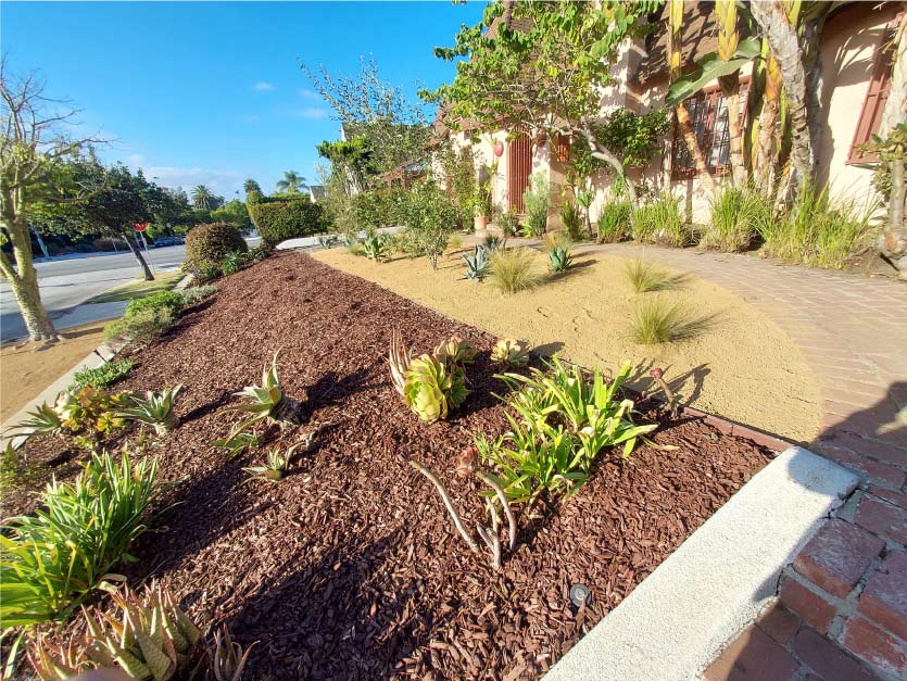 A professionally designed residential front yard in Rancho Palos Verdes featuring a modern sprinkler systems, fresh mulch, and drought-tolerant succulents for low-maintenance beauty.