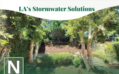 Why LA Contractors Trust Nitrogen for L.I.D.