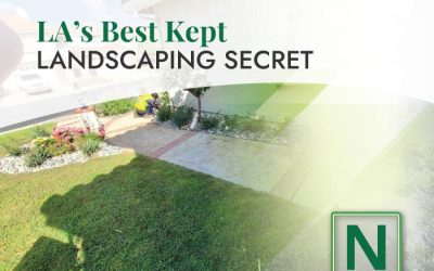 Maximizing the LADWP Turf Replacement Rebate