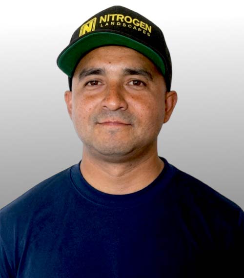 luis navarro, founder and owner of nitrogen landscapes in los angeles, california