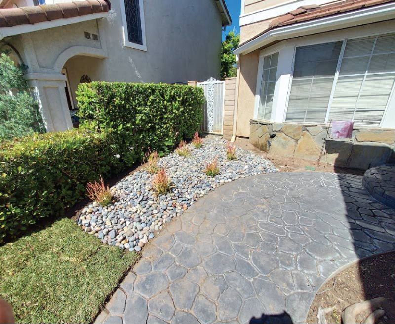 Modern drought-tolerant front yard landscaping with river rock mulch and ornamental succulents next to a stamped concrete walkway in Los Angeles.