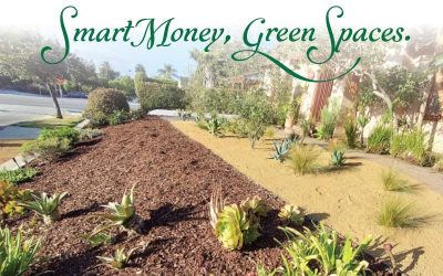 15 Smart Ways to Finance Your Landscaping Project