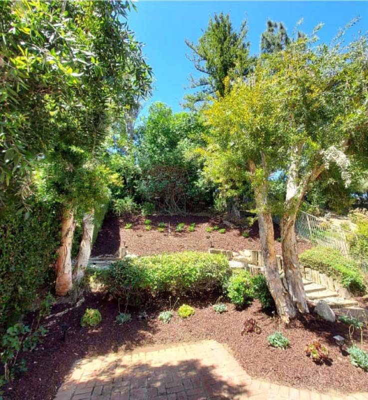 Comprehensive hillside landscape development in Los Angeles featuring a wood-timber retaining wall, stone steps, and new plantings in dark mulch.