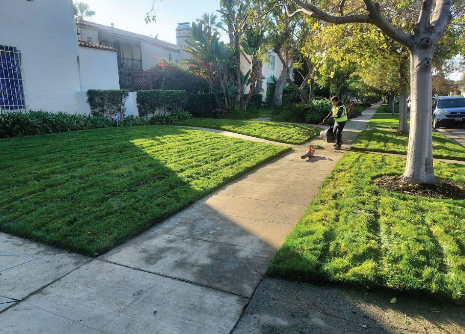 A Nitrogen Landscapes team member in a safety vest performing precision lawn maintenance and leaf blowing on a large residential corner lot.