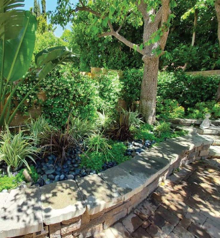 Detailed view of a professional landscape installation in Malibu including a brick walkway, stone curbing, and a variety of drought-resistant shrubs.