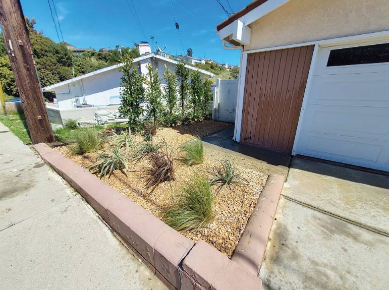 Low-maintenance landscape development featuring gravel mulch and drought-resistant decorative grasses along a residential driveway in a coastal region.